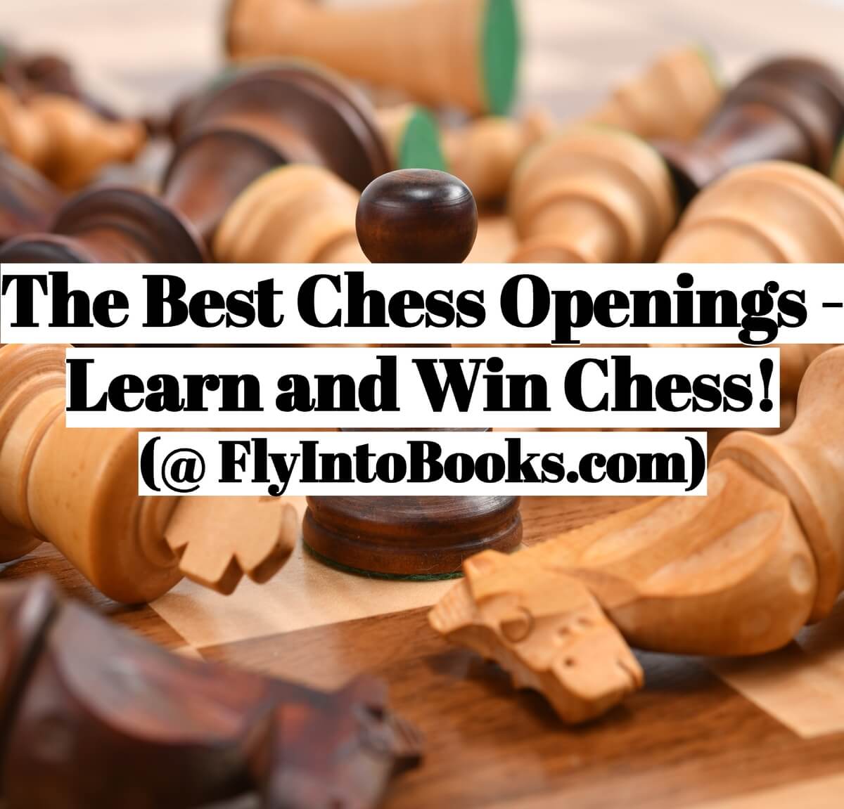 WINNING CHESS OPENINGS, CHESS BOOKS