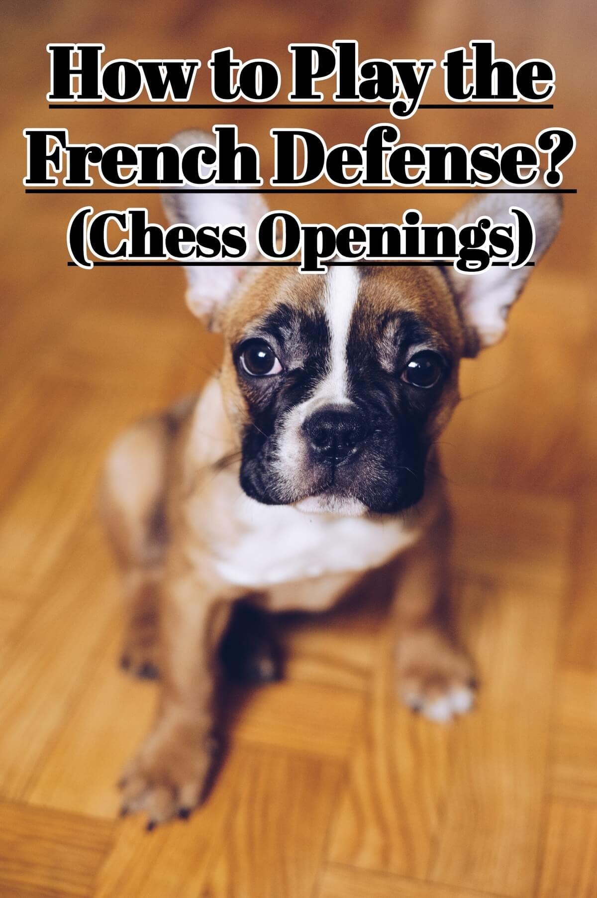 How to Play the French Defense - Chess Openings (ChessLoversOnly)